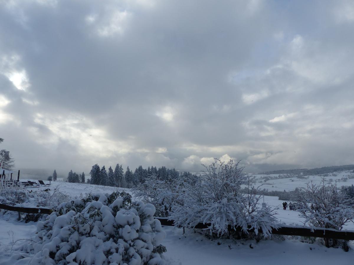 Berggasthof Zum Steira Schotten Esterno foto