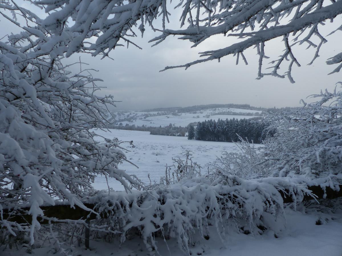 Berggasthof Zum Steira Schotten Esterno foto
