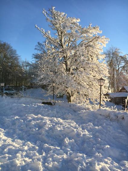 Berggasthof Zum Steira Schotten Esterno foto