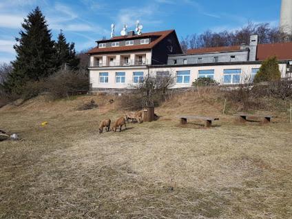 Berggasthof Zum Steira Schotten Esterno foto